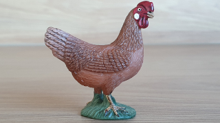 slepice  13646, model 2008