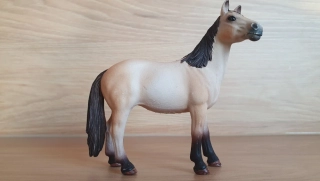 Klisna Mustanga 13806, model 2015