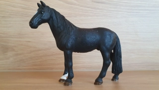 Tennessee valach mimochodník černý 13832, model 2016