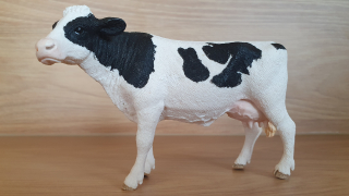 kráva holštýnská  13797, model 2015