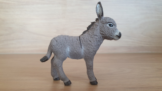 osel mládě 13746, model 2013