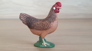 slepice  13646, model 2008