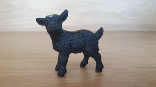 kůzle černé 98271