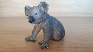 koala 14815, model 2017