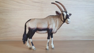 antilopa Oryx 14759, model 2015