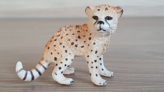 gepard mládě 14747, model 2015