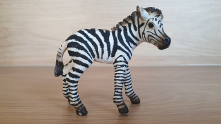 zebra mládě 14393, model 2008