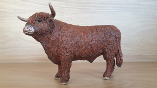 býk vysokohorský  13919, model 2020