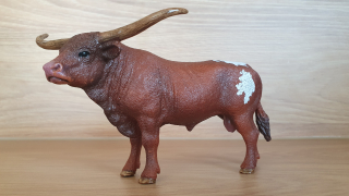 Býk longhornský  13866, model 2017