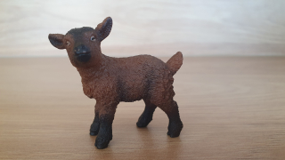 kůzle hnědé 13829, model 2016