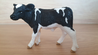 tele holštýnské  13798, model 2015