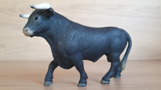 Černý býk  13875, model 2017