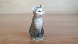 kočka  13771, model 2014