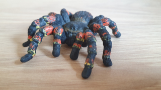 Tarantule 14829, model 2018