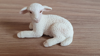 jehně  13284, model 2003