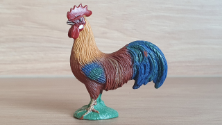 kohout  13645, model 2008