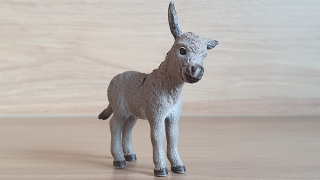 osel mládě 13746, model 2013