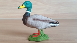 kačer  13824, model 2016