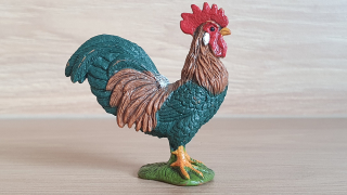 kohout  13825, model 2016