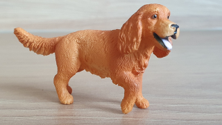 kokr  13896, model 2019