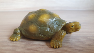 želva Německo 14081, model 1991