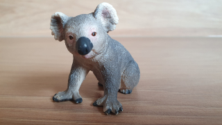 koala 14815, model 2017