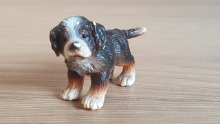 Bernský salašnický pes štěně 16344, model 2005