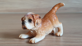 bernardýn štěně 16345, model 2005