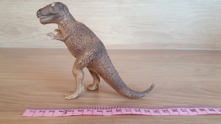 Tyrannosaurus  14502, model 2002