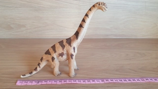 Brachiosaurus  14503