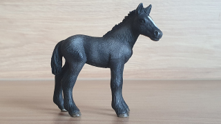 Percheron hříbě 13627, model 2007