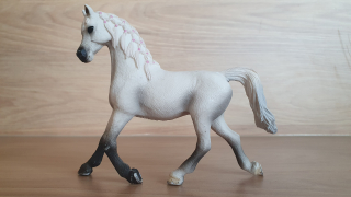 Bílá arabská klisna 13761, model 2013