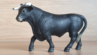 Černý býk  13875, model 2017