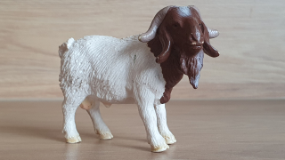 kozel  13258, model 2001