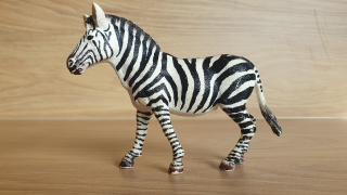 zebra 14810, model 2017