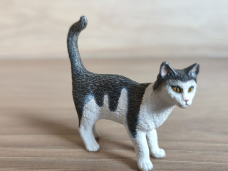 kočka  13638, model 2008