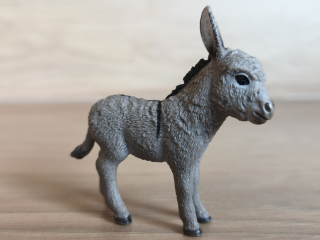 osel mládě 13746, model 2013