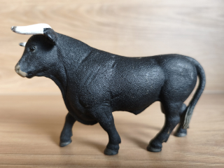 Černý býk  13875, model 2017