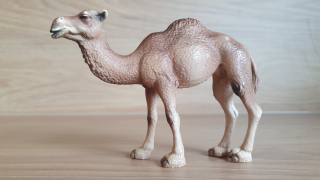 velbloud jednohrbý 14355, model 2005
