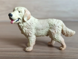 zlatý retrívr  16313, model 1995