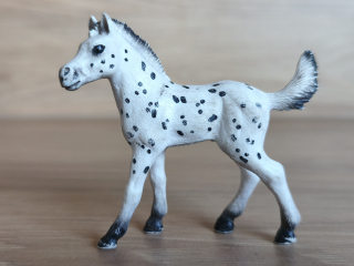Knabstrupperské hříbě 13890, model 2018