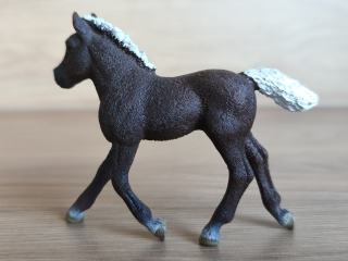 černé lesní hříbě 13899, model 2019