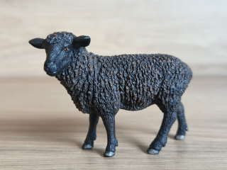 ovce černá 13785, model 2013