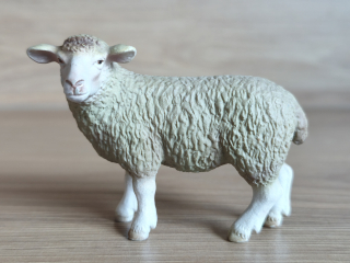 ovce  13283, model 2003