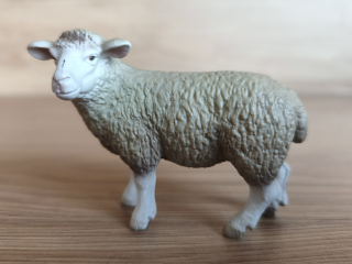 ovce  13283, model 2003