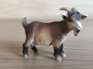 koza  13601, model 2004