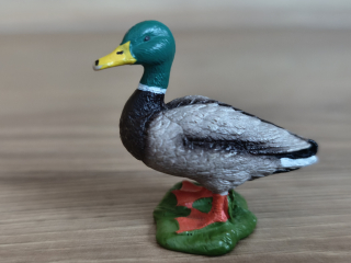 kačer  13824, model 2016