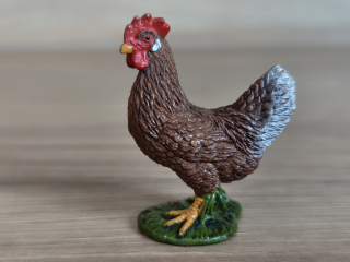 slepice hnědá 13826, model 2016