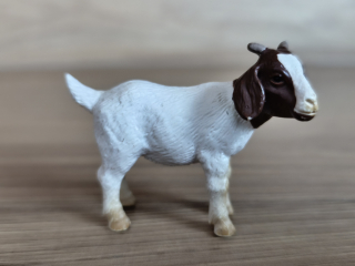 kůzle burské 13260, model 2001