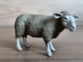 beran  13266, model 2002